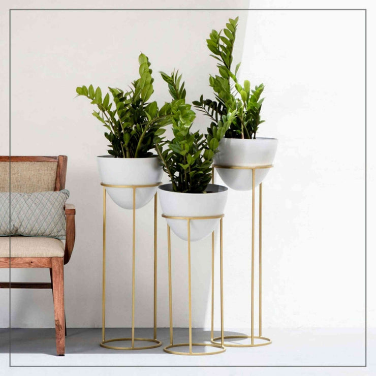 GOLD & BRONZE PLATING ROUND SHAPED PLANTER