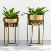 BLACK & GOLDEN IRON PLANTER