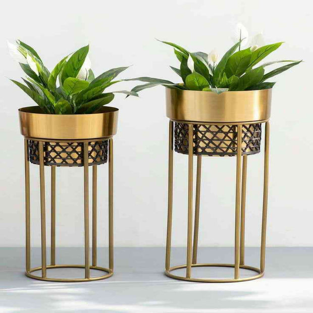BLACK & GOLDEN IRON PLANTER