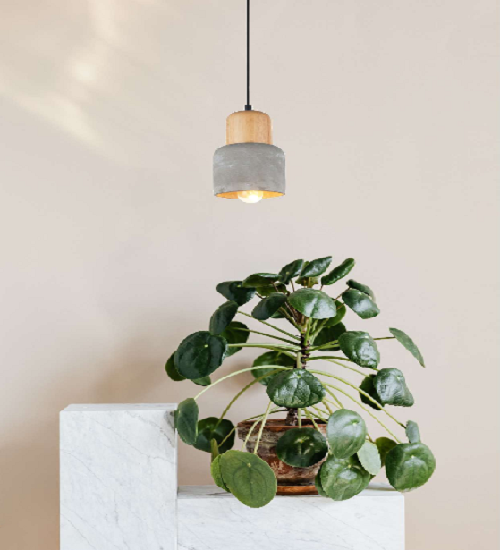 LISSOME CONCRETE WOOD HANGING LIGHT