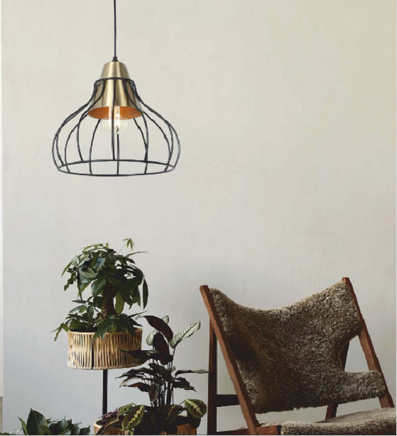 AESTHETIC BRASS CAGE HANGING LIGHT
