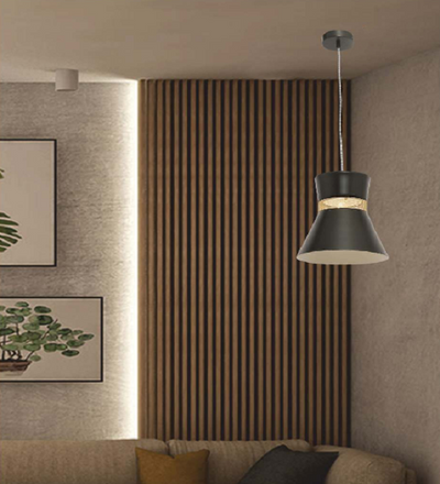 ENRAPTURE BLACK AND GOLDEN PENDENT LIGHT