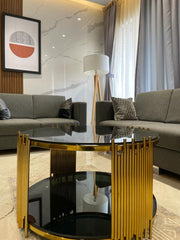 ELLIPTICAL GLASS ANODIZE CENTER TABLE